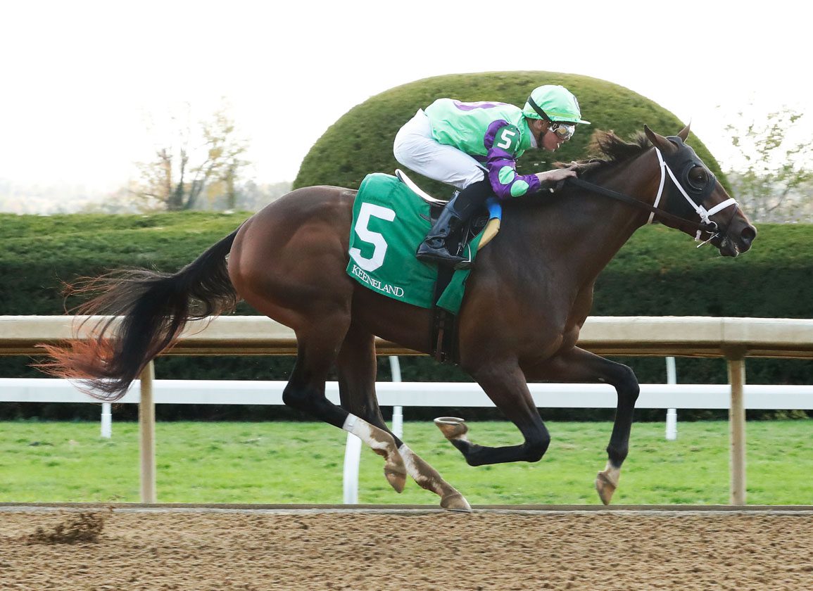 Wednesday's Insights: Debut Winners Rocketeer and More Vino Return