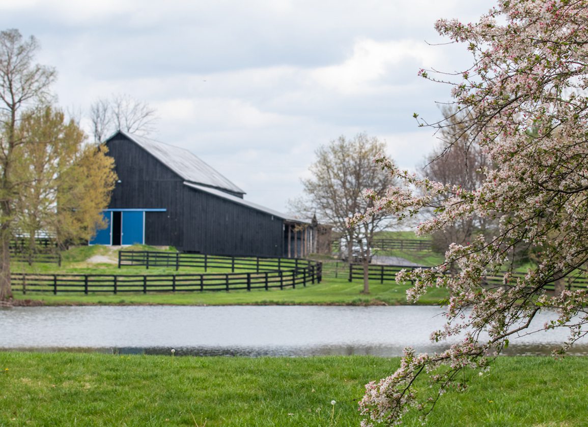 Kueglers Purchase Lexington Farm, New Home of Wasabi Ventures Stables
