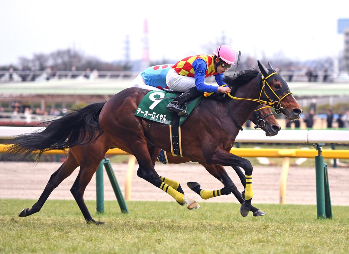 T O Royal Bids For First Top-Level Success In Tenno Sho