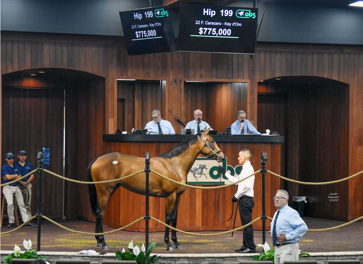 $775K Caracaro Filly Tops Solid OBS Spring Opener