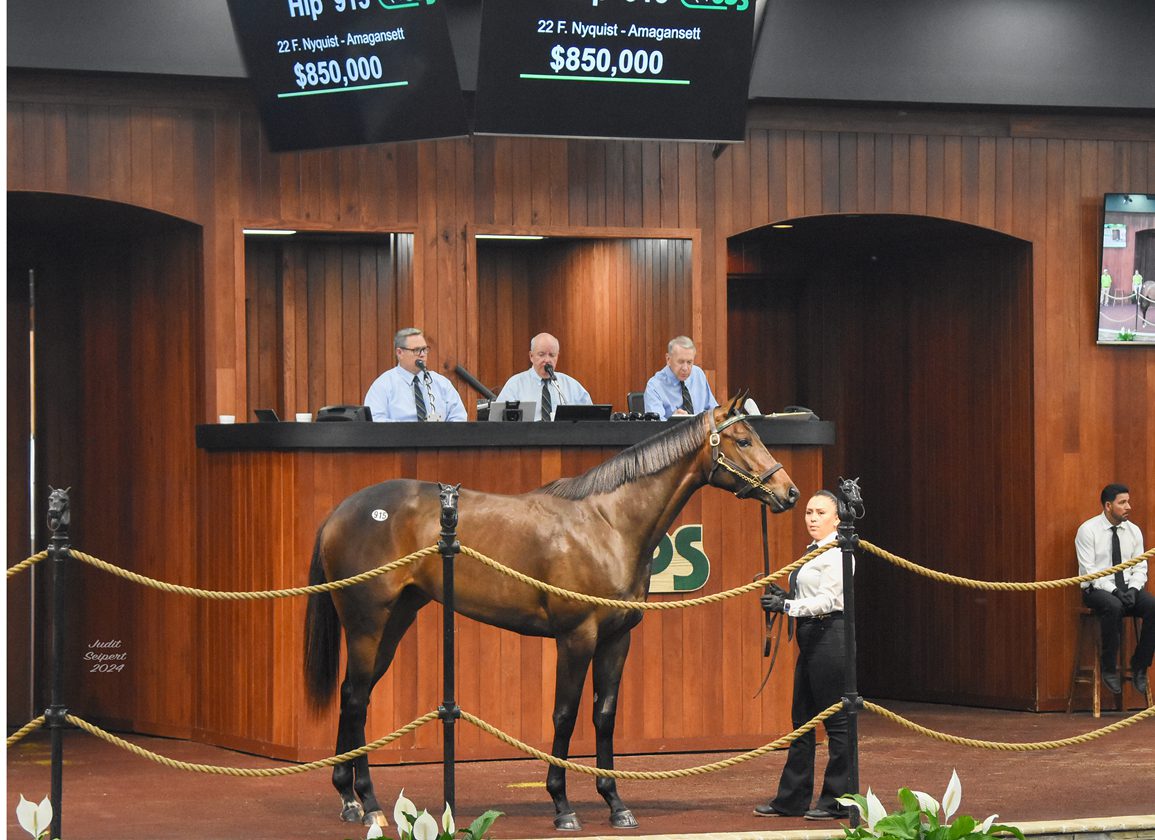 $875k Nyquist Filly Leads Way as OBS Spring Sale Sets Records Again
