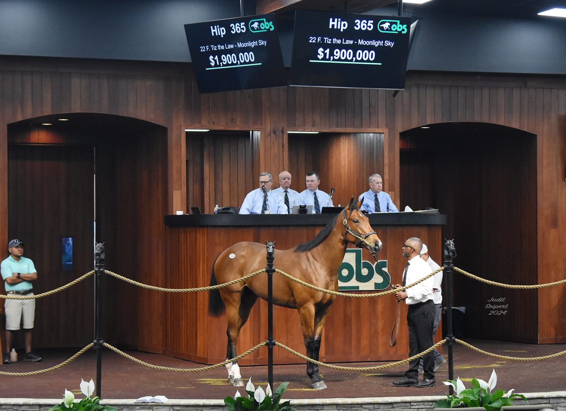 $1.9M Tiz the Law Filly Stars as Action Picks Up at OBS Day Two