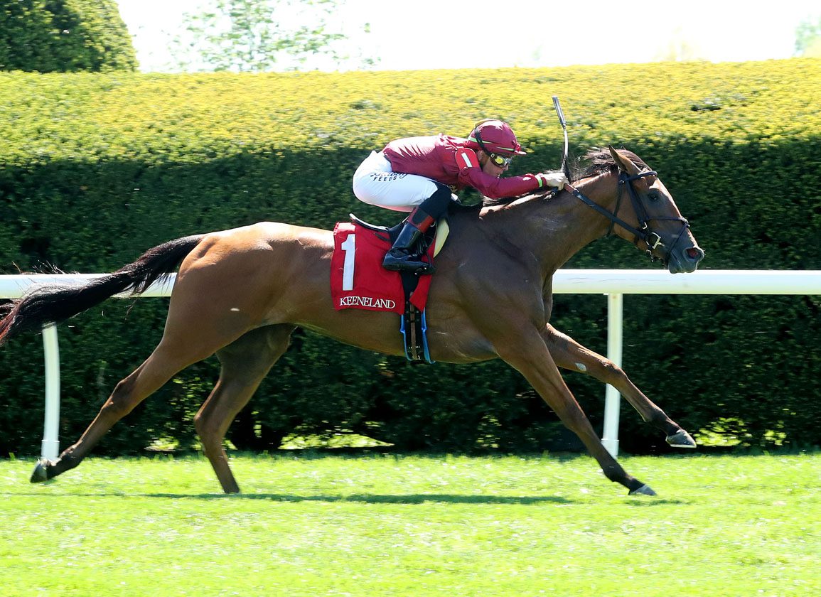 Into Mischief Filly Turns In Strong Debut Over Keeneland Turf
