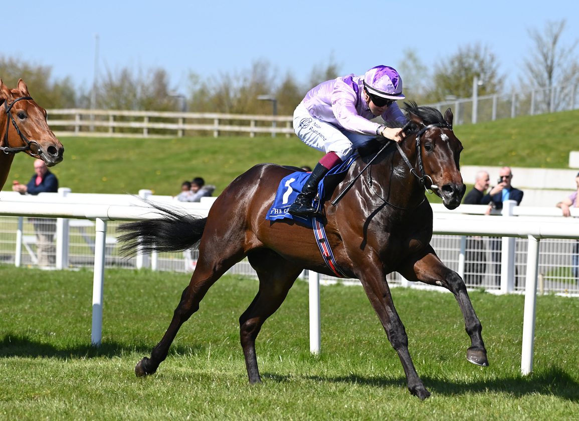 Joseph O'Brien's Big Royal Ascot Player Snapped Up By Stonestreet Stables