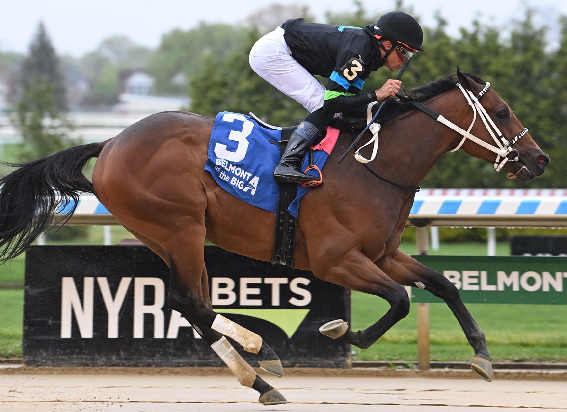 'TDN Rising Star' Doncho Mines First Stakes Win In Gold Fever At Aqueduct