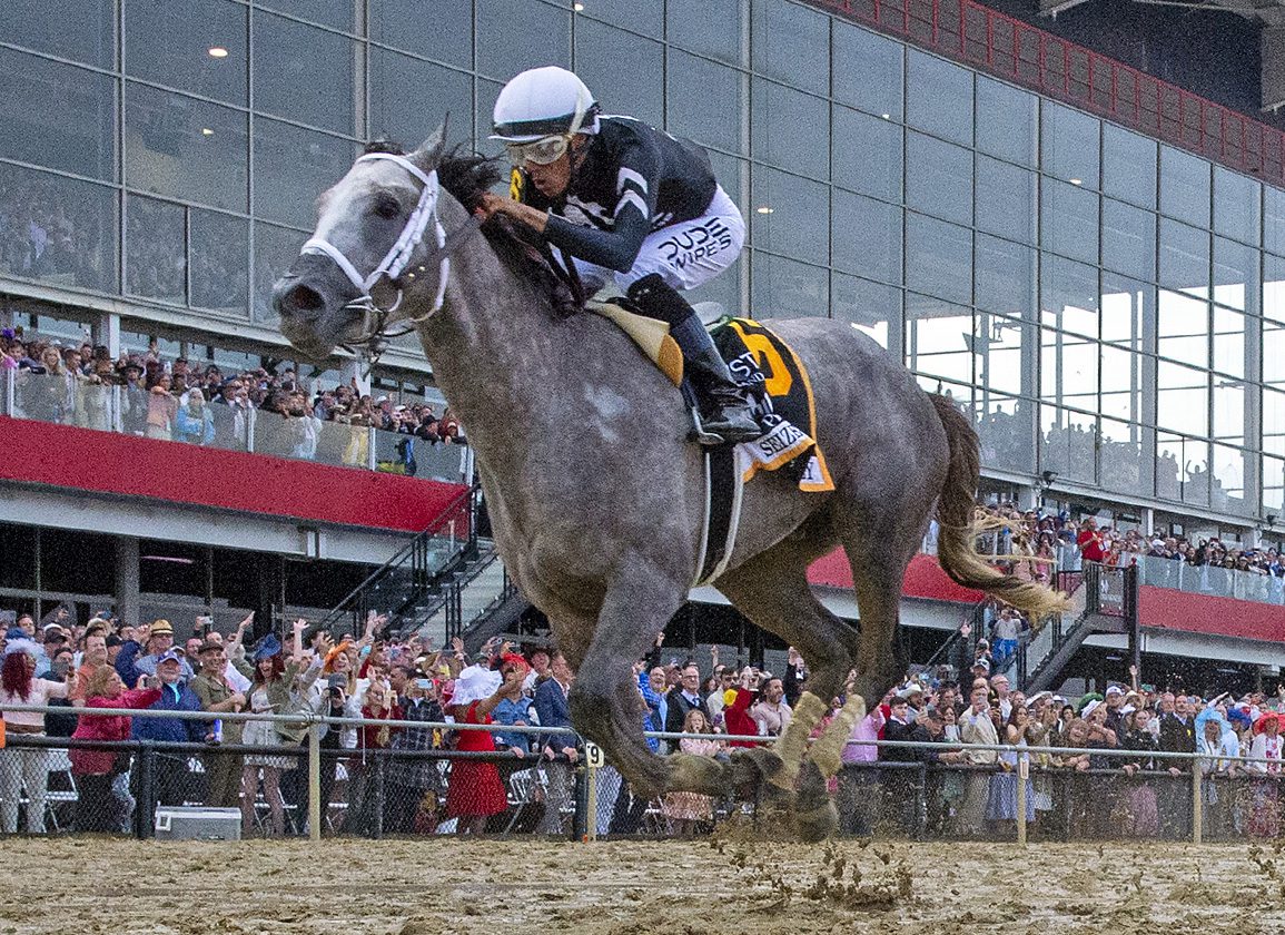 Seize the Grey Seizes the Day to take Preakness Gate to Wire