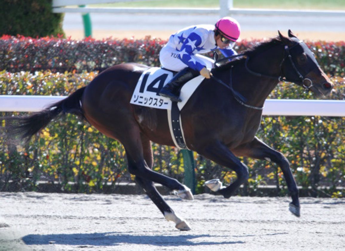 Into Mischief's Sonic Star Looking For Two Straight at Tokyo