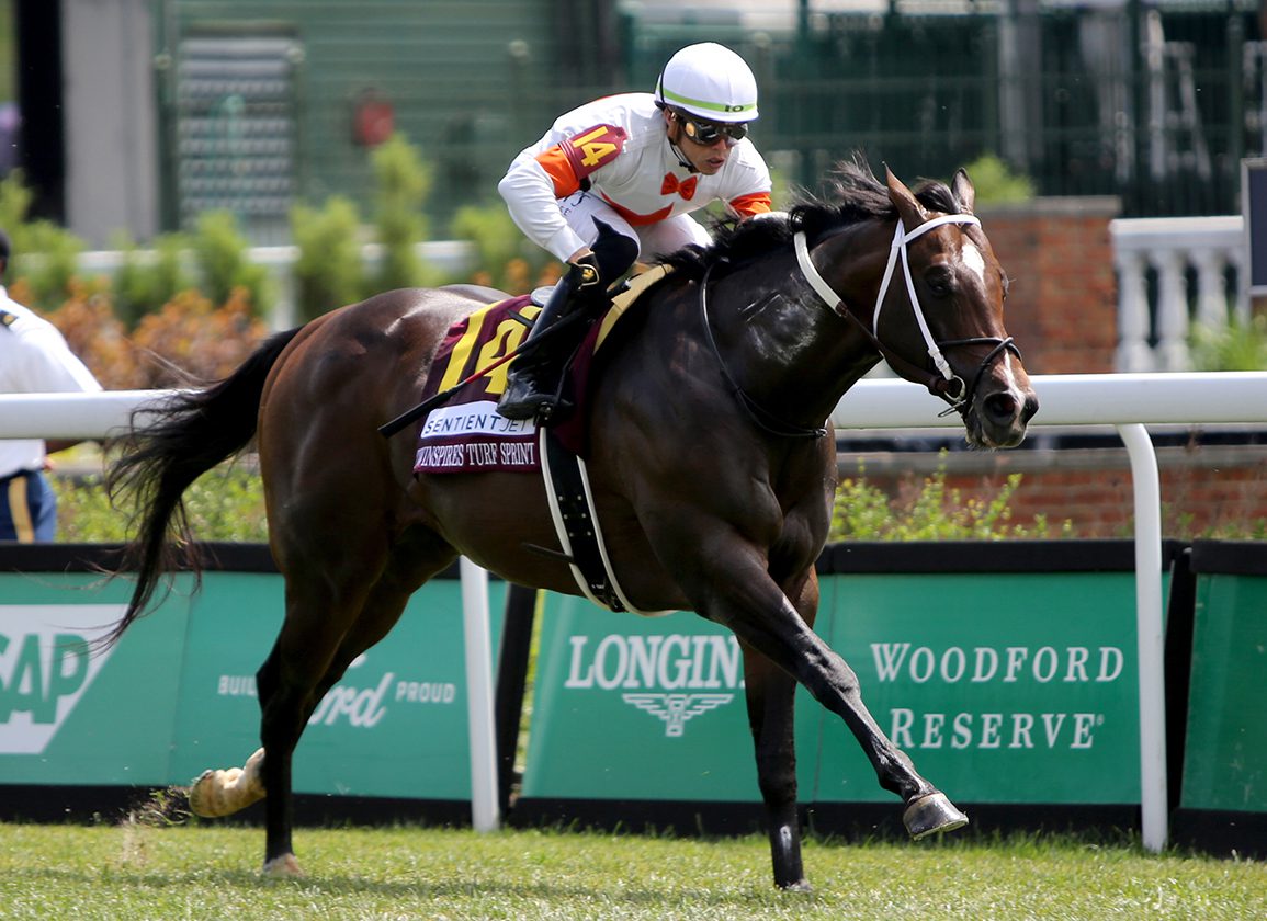 Not This Time's Cogburn Defies Layoff, Post In TwinSpires Turf Sprint
