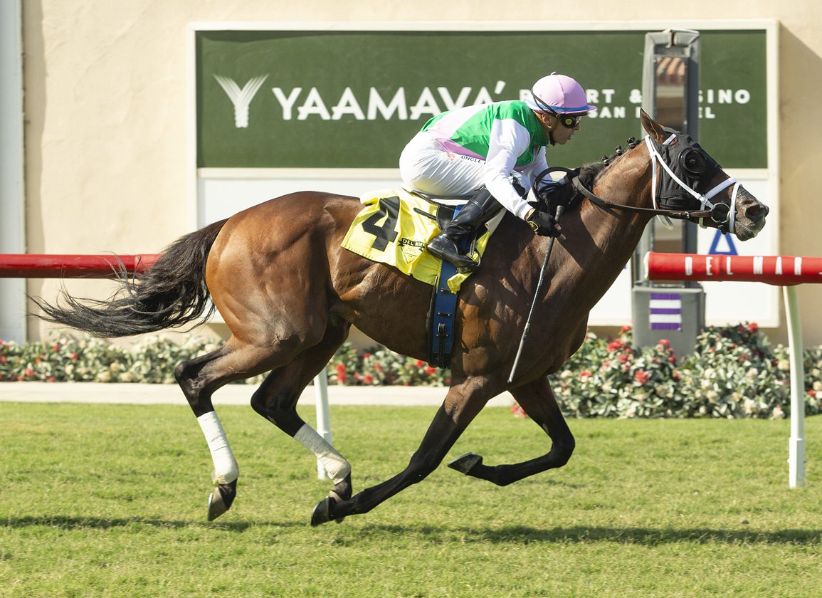 Making Waves: Wootton Bassett Colt Wins For Juddmonte In California