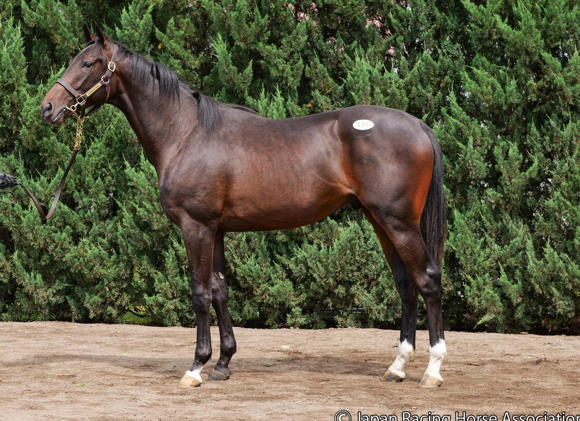 Domestic Buyers Put Chips Down On Equinox Yearlings At JRHA Sale
