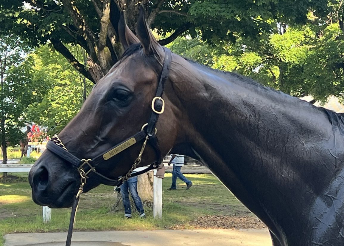 Saratoga Notebook, presented by NYRA Bets: Nitrogen Continues to Get Ready for her Whitney Date
