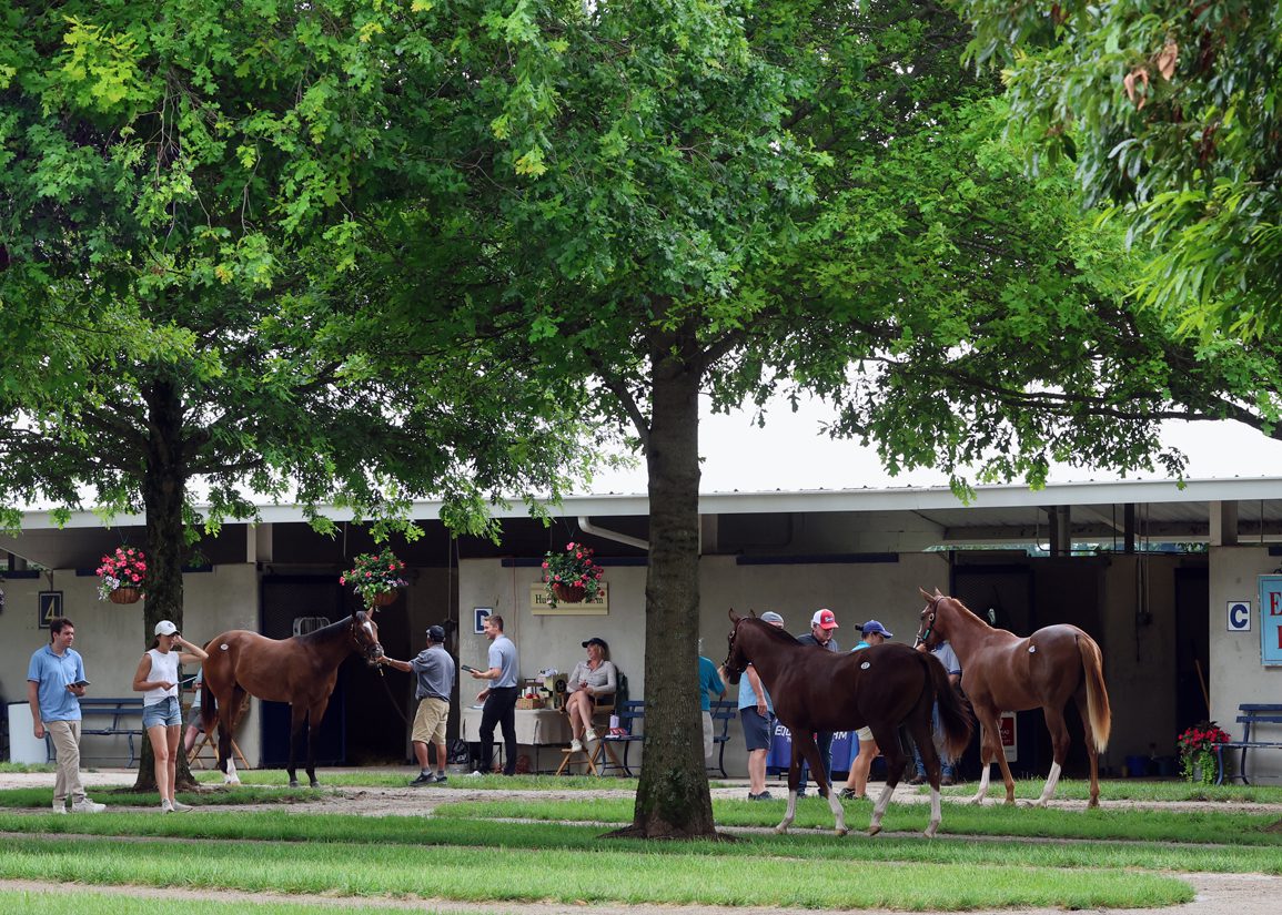 'Opening Day' In Lexington As Fasig-Tipton July Yearling Sale Starts Tuesday