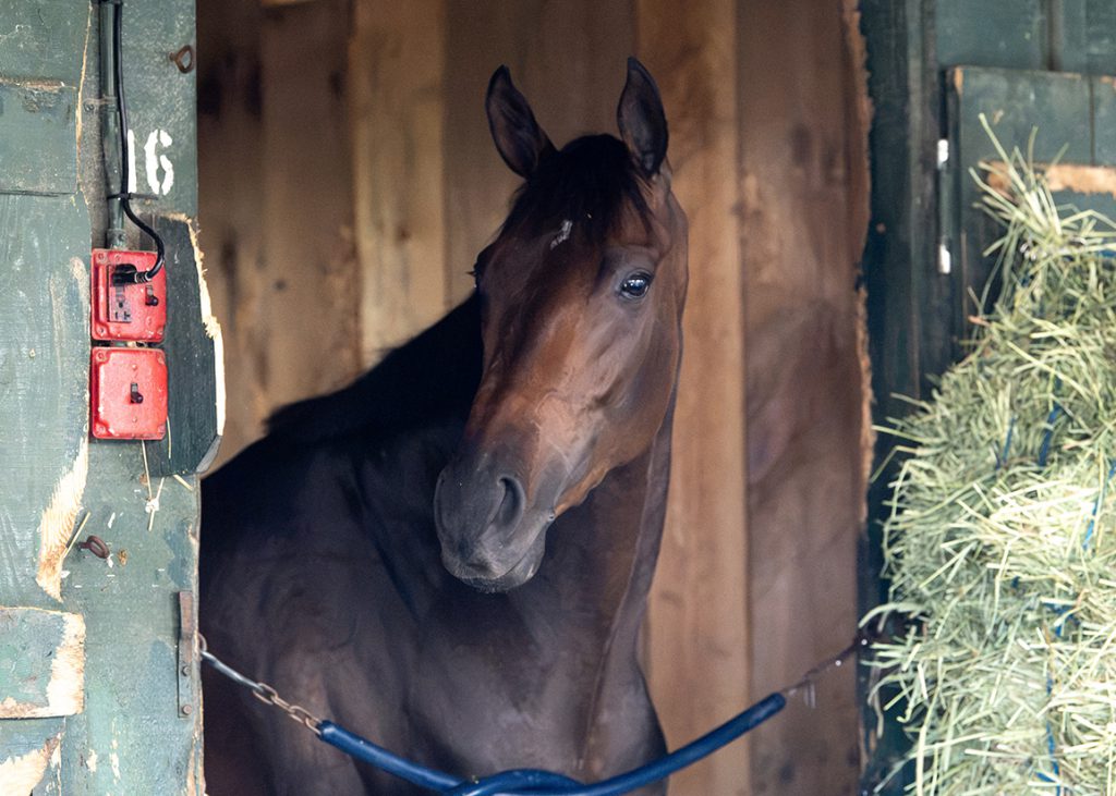 Explora at Saratoga