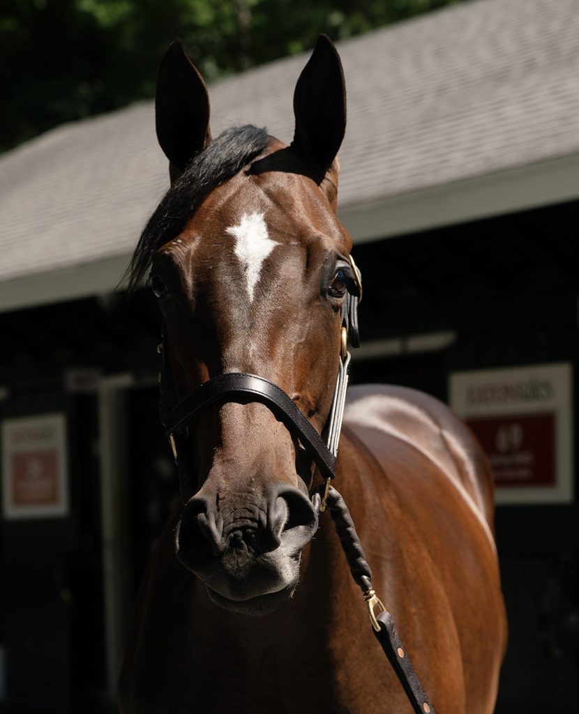 Liam'sx Map colt at Saratoga