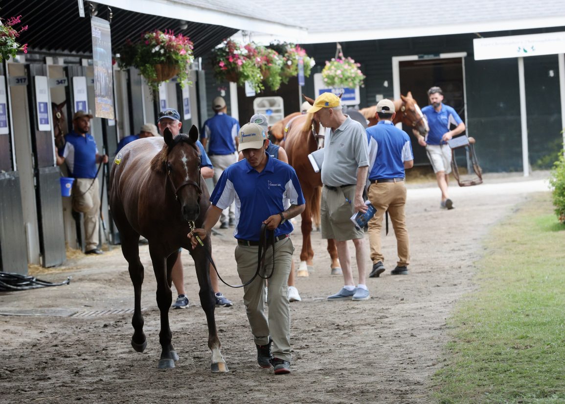 Saratoga Bidding: Fasig-Tipton New York Sale Starts Sunday