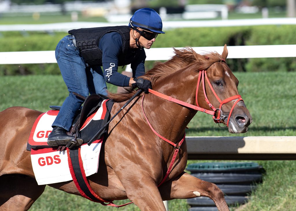 The Puma at Saratoga