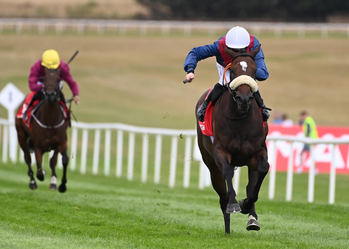 Timeform's Top Juveniles: Sioux Nation's Timeless Tale Looks Ready for the Big Time