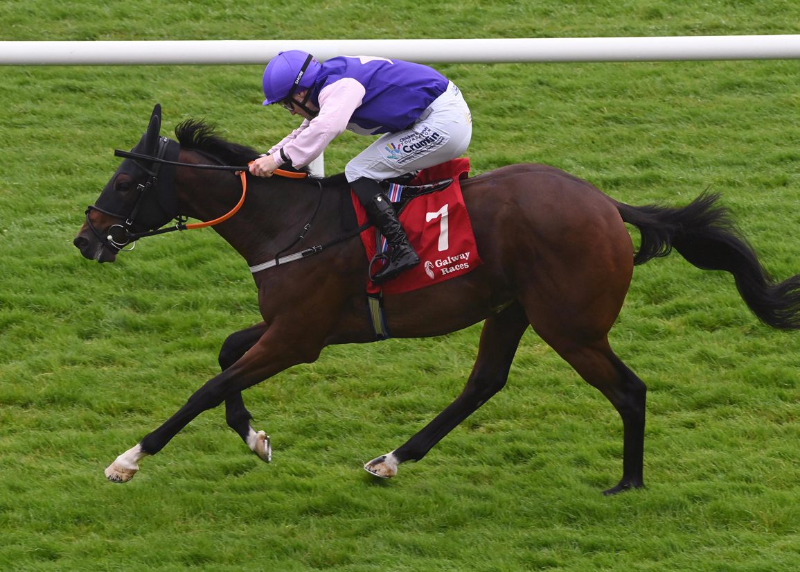 Timeform's Top Juveniles: Bayside Boy's Trean Could Go Right To The Top