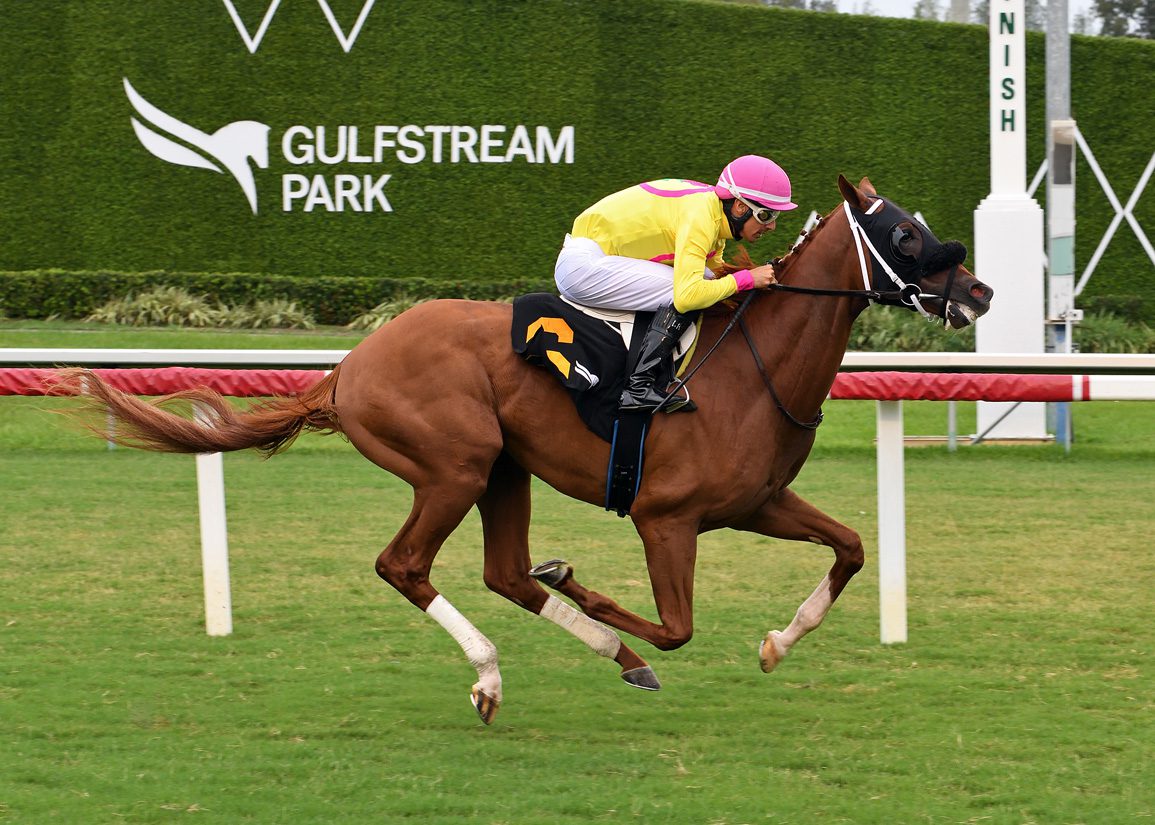 What's Your Style, hijo de Cyberknife, remonta para un triunfo inteligente en Gulfstream