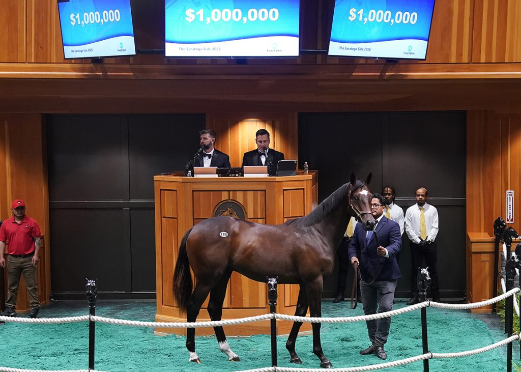 Constitutionx colt at Saratoga