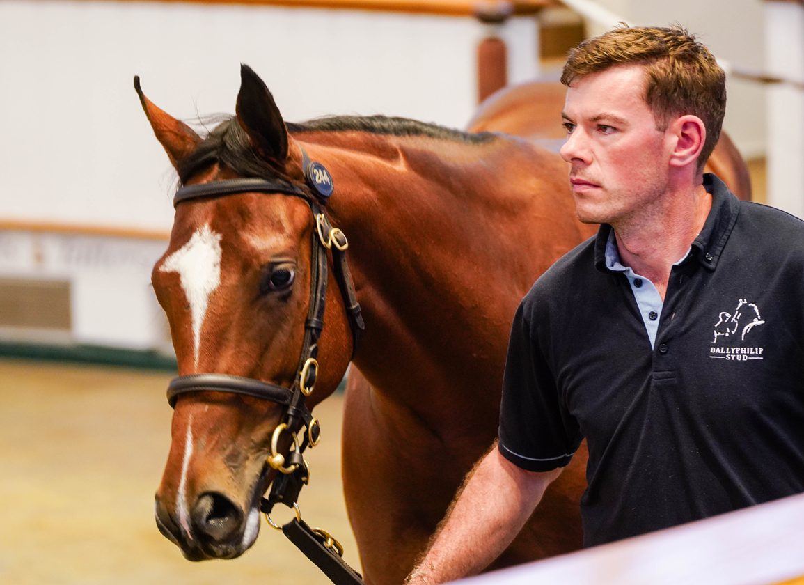 Cream Comes To The Top At Somerville With Blue Point Filly Setting New Record At 190,000gns