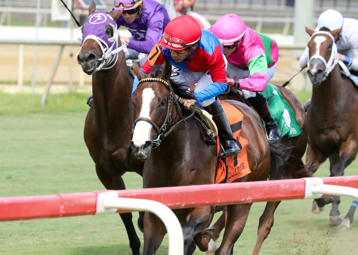 Omaha Spirit Goes Two-for-Two with Colonial Stakes Win